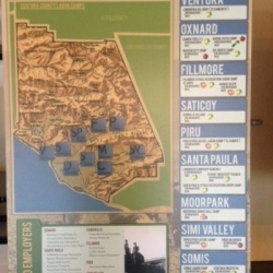 bracero-3