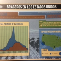 bracero-4